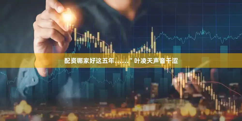 配资哪家好这五年……”叶凌天声音干涩