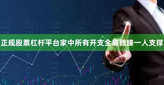 正规股票杠杆平台家中所有开支全靠魏臻一人支撑