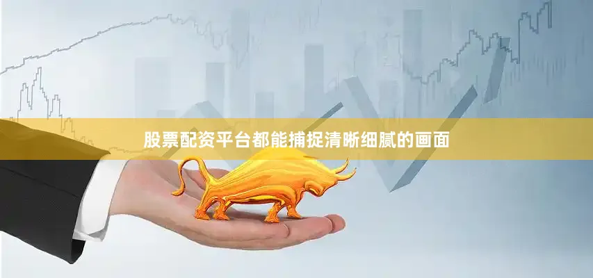 股票配资平台都能捕捉清晰细腻的画面